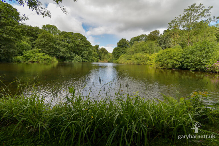 Drum Manor Forest Park, June 2019