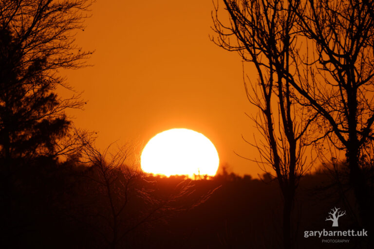 Frosty Winter Sunrise, February 2025