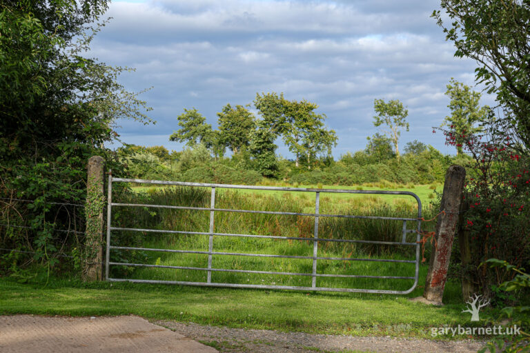 A Crooked Gate in the Evening Light
