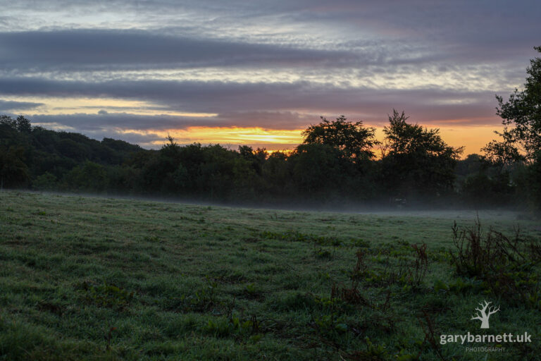Early Morning Mist, August 2025