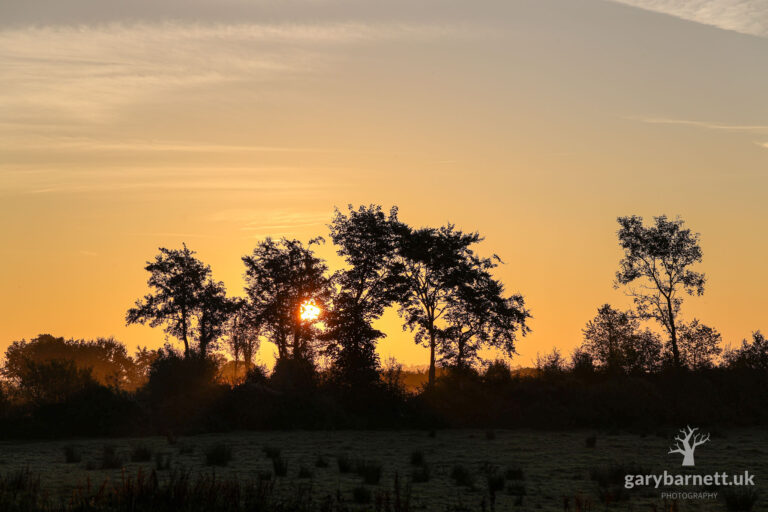 Harvest Moon, 18th September 2024