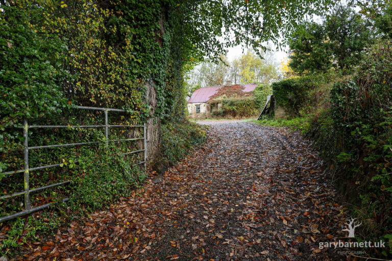 Wet Autumn Morning Walk in the Countryside, October 2025
