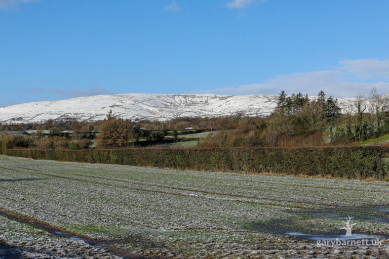 Snow on Slieve Gallion mountain, November 2025