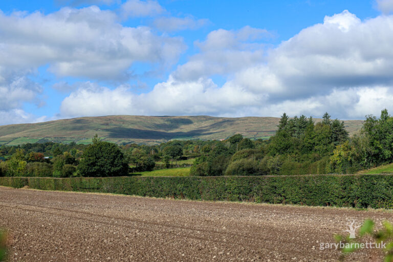 October 2024 Collection