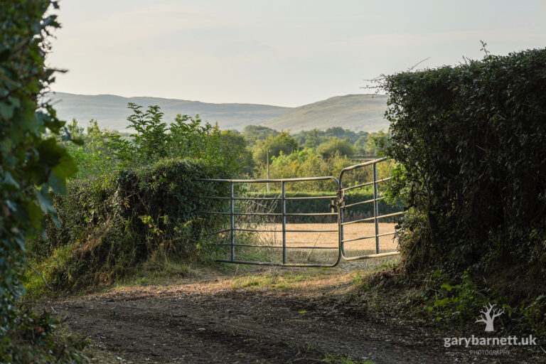Gates to the Harvested Wheat Field, August 2025