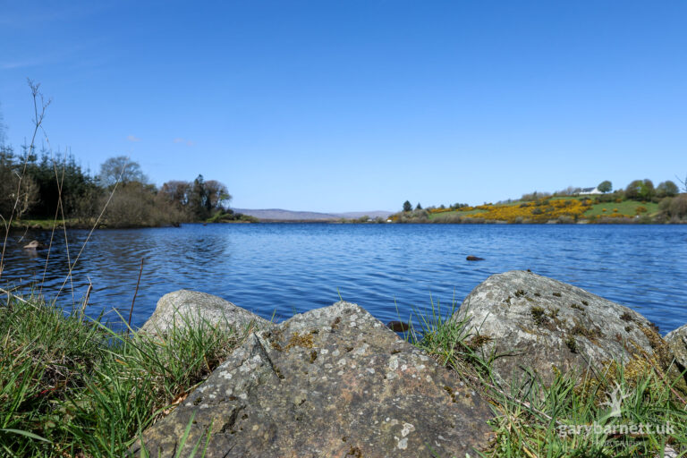 Lough Fea, April 2026